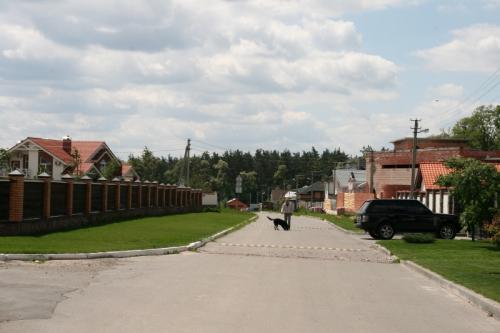 Sell house. Киев, Леонтовича — photo 6