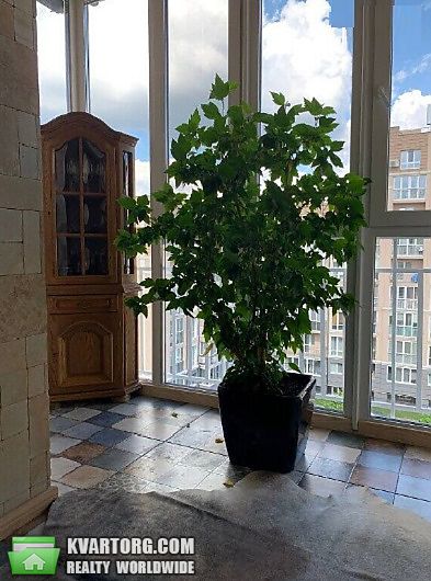 Sell 2-room apartment. Киев,  Метрологическая — photo 5