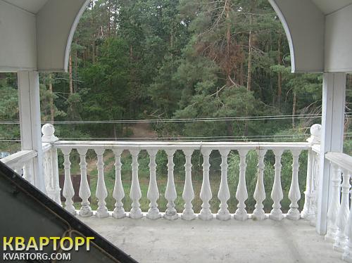 Sell house. Киевская обл., мира — photo 3