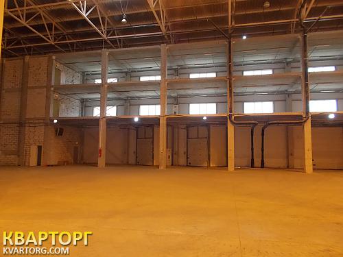 Rent out warehouse. Киевская обл., Софиевская — photo 3