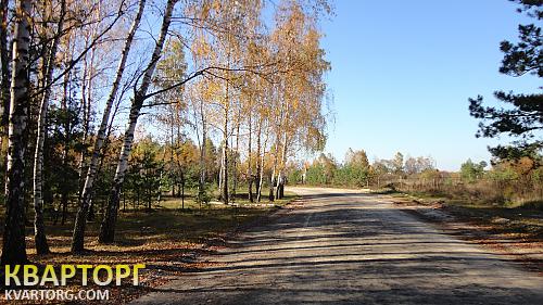 Sell house. Киевская обл.,  Садовая — photo 7
