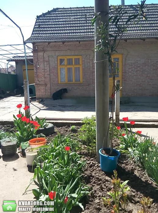Sell house. Одесса, Мира — photo 6