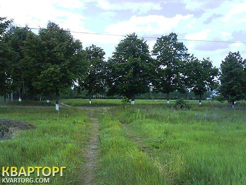 Sell house. Киевская обл., Дмитровка Липовая — photo 6