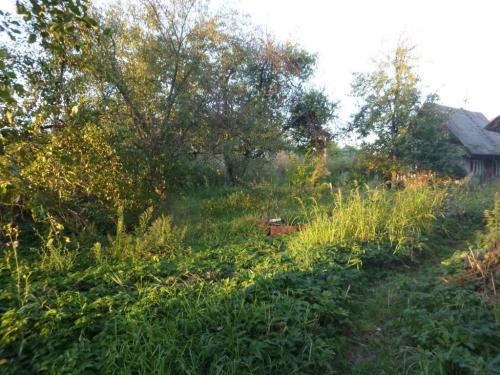 Sell house. Киевская обл., Хмельницкого Богдана — photo 7