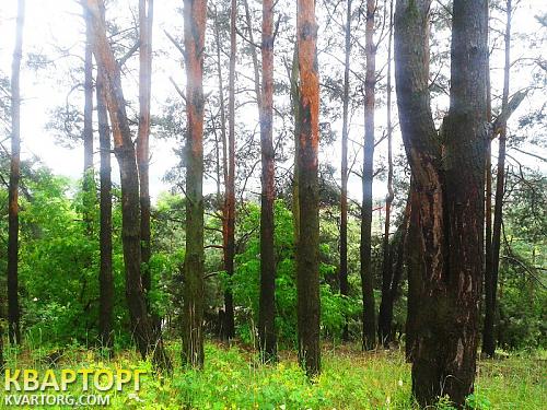 Rent out house. Киев, Лермонтова пер.1-й — photo 5