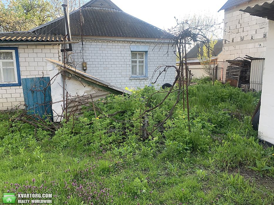 Sell house. Киевская обл., Полевая — photo 5