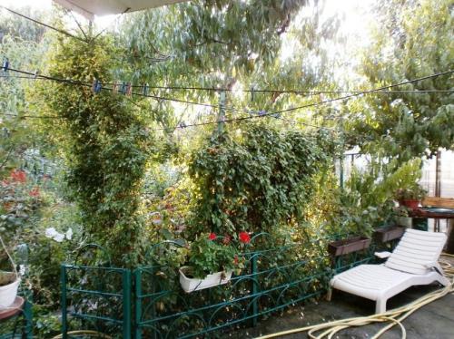 Sell house. Одесса, Васнецова — photo 9