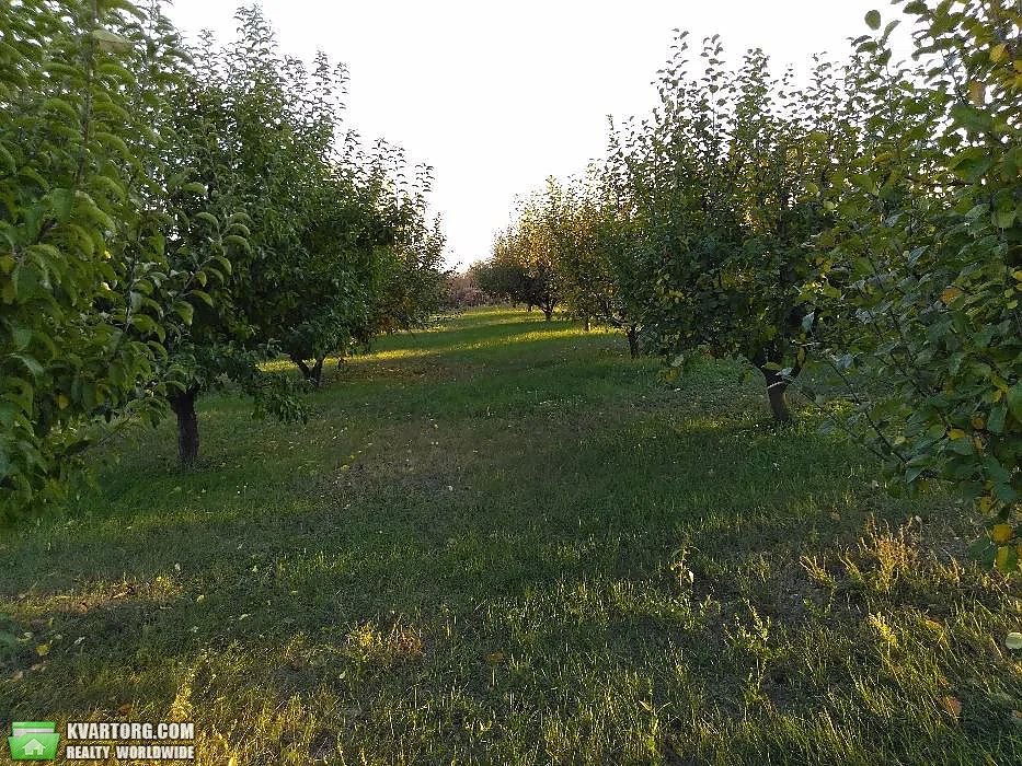 Sell house. Запорожье, Ленина — photo 5