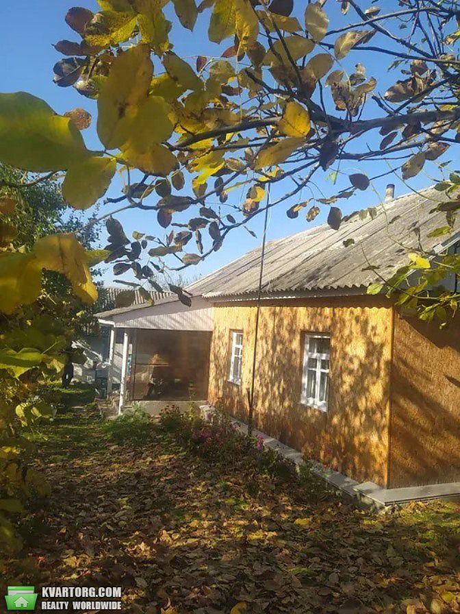 Sell house. Киевская обл., с.Плахтянка — photo 3