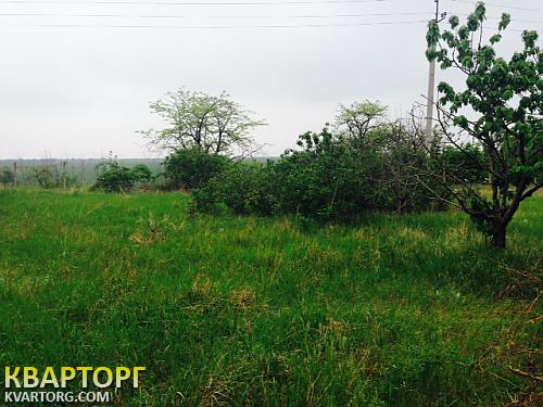 Sell house. Одесса, Егоровка — photo 5