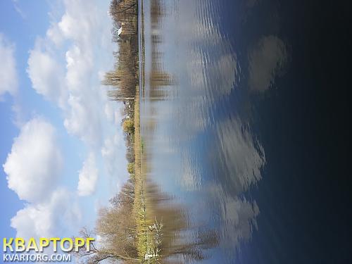 Sell house. Киевская обл., Жовтнева — photo 1