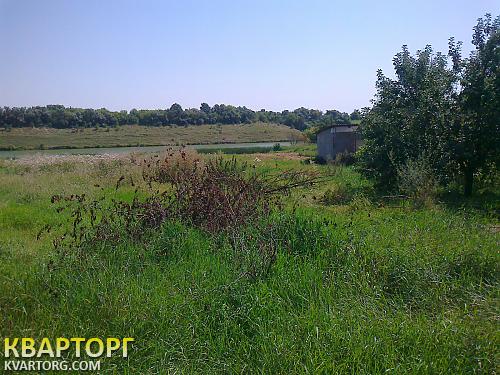 Sell house. Киевская обл., Лосятин — photo 7