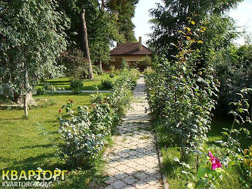Rent out house. Киевская обл., Романков — photo 1