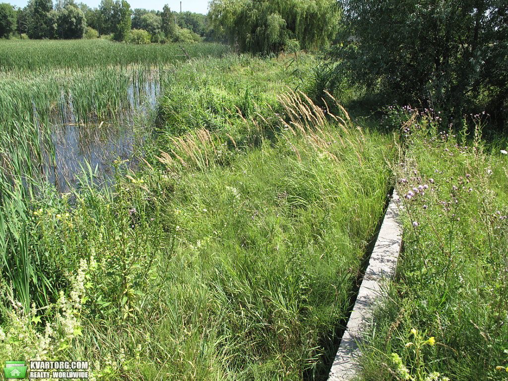 Sell house. Киевская обл., Гаевой — photo 4