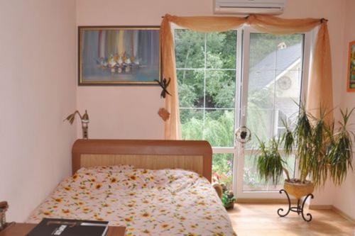 Sell house. Киевская обл., Зозули — photo 9