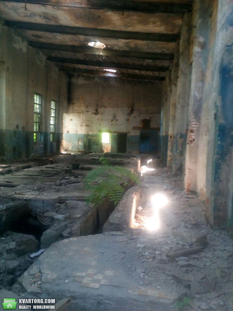 Sell warehouse. Одесса, Чепиги — photo 2