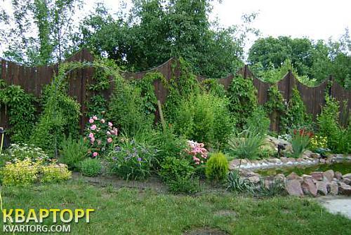 Rent out house. Киевская обл., Романков — photo 3