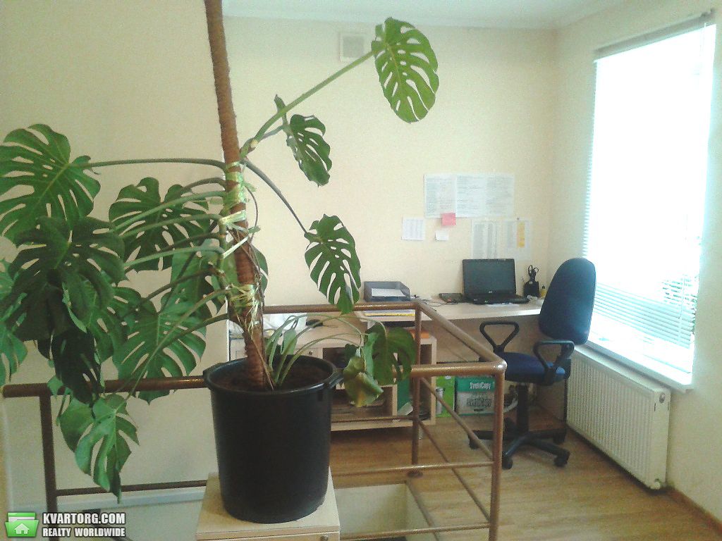 Sell 3-room apartment. Одесса, Бунина — photo 2