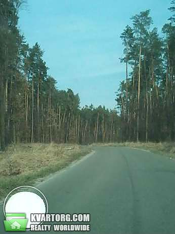 Sell house. Киевская обл., Полевая — photo 4
