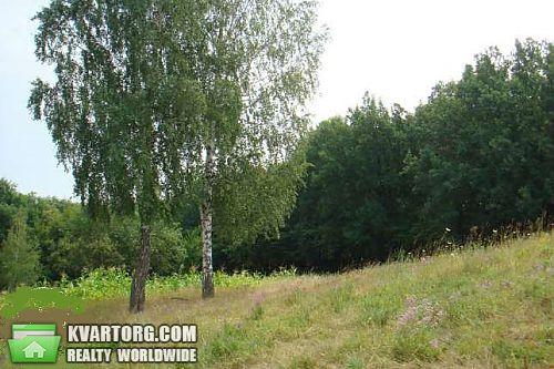Sell house. Киев, селе Деревяна — photo 2