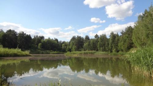 Sell house. Киевская обл., Центральная, 63 — photo 2