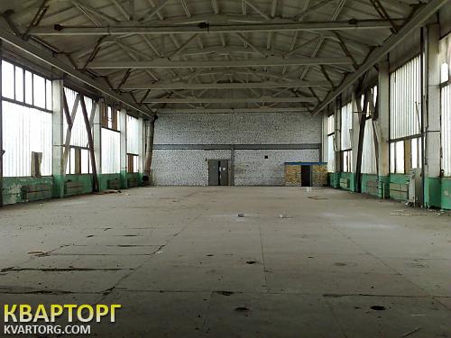 Rent out warehouse. Киев, ул.Жилянская,107 — photo 1