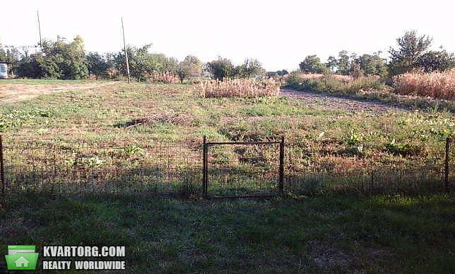 Sell house. Киевская обл., с.Капустинцы ул.Шевченка — photo 5
