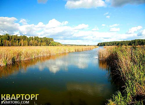 Sell house. Киевская обл., рыльского — photo 8