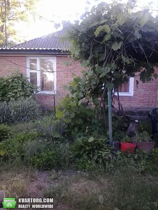 Sell house. Киевская обл., Героев — photo 7