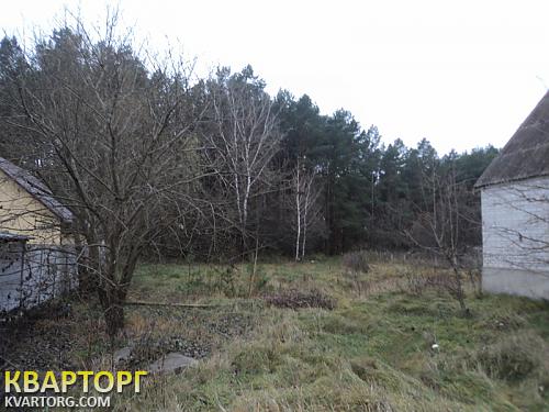 Sell house. Киевская обл., нещерів — photo 2