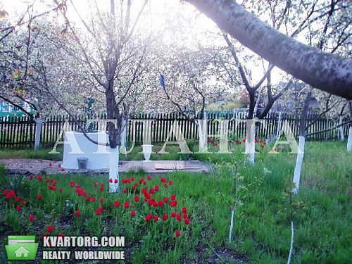 Sell house. Одесса, Виноградная — photo 9