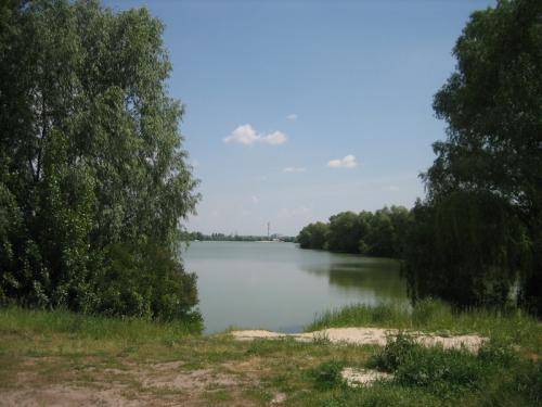 Sell house. Киев, Осокорки — photo 1