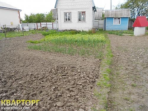 Sell house. Киевская обл., Киевская — photo 1
