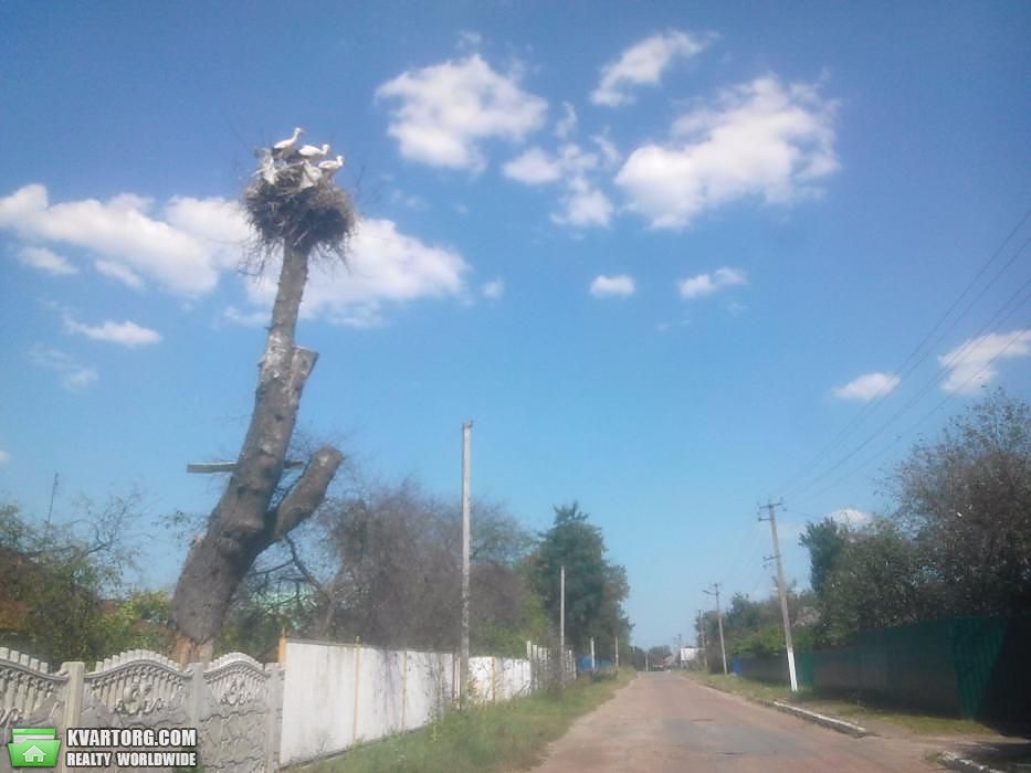 Sell house. Киевская обл., Шибене — photo 9