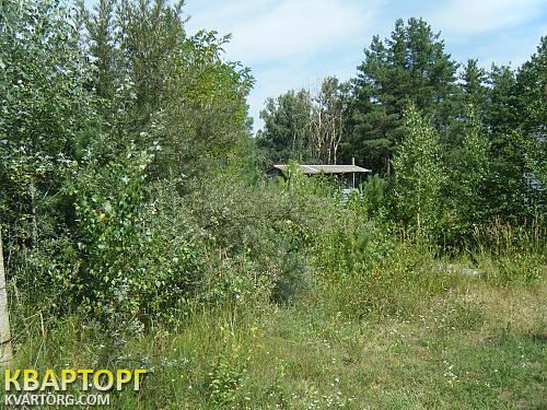 продам участок. Киевская обл.,  круглык - фото 6