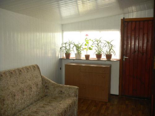 Sell house. Киевская обл., Зазимье — photo 3