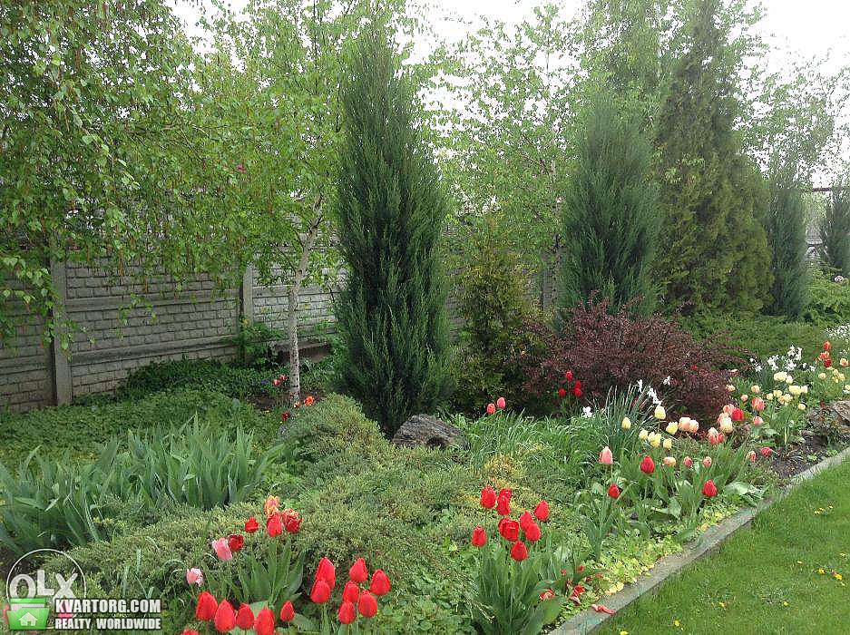 Sell house. Днепропетровск, ул. Подгорная — photo 4