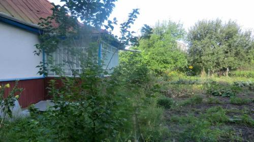 Sell house. Киевская обл., Леваяя — photo 2