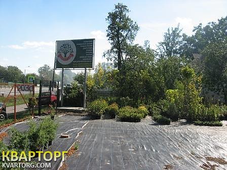 Sell house. Киевская обл., Митница — photo 2