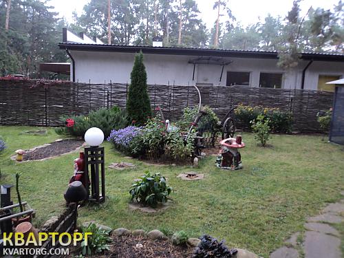 Sell house. Киевская обл., -- — photo 4