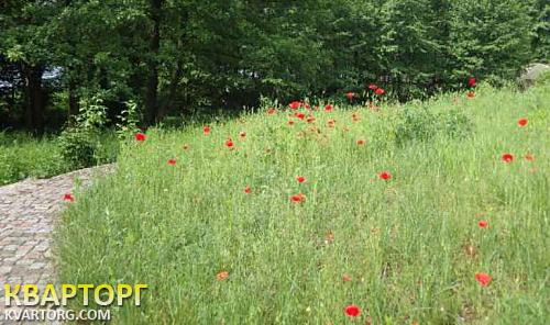 Rent out house. Киевская обл., Бобрица — photo 6