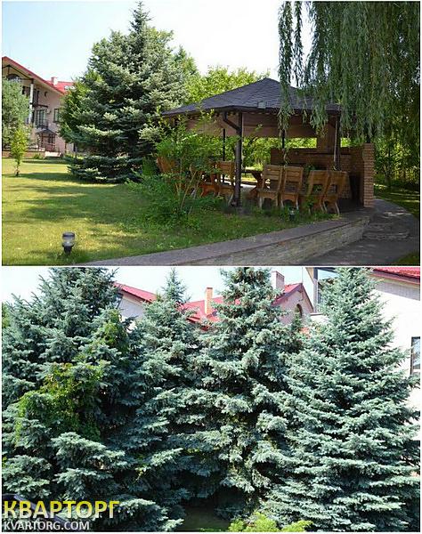 Sell house. Киев, Конча-Заспа — photo 6