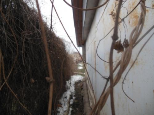 Sell house. Одесса, Александра Невского — photo 2