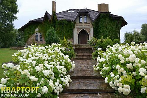 Rent out house. Киевская обл., Большая Дамба — photo 1