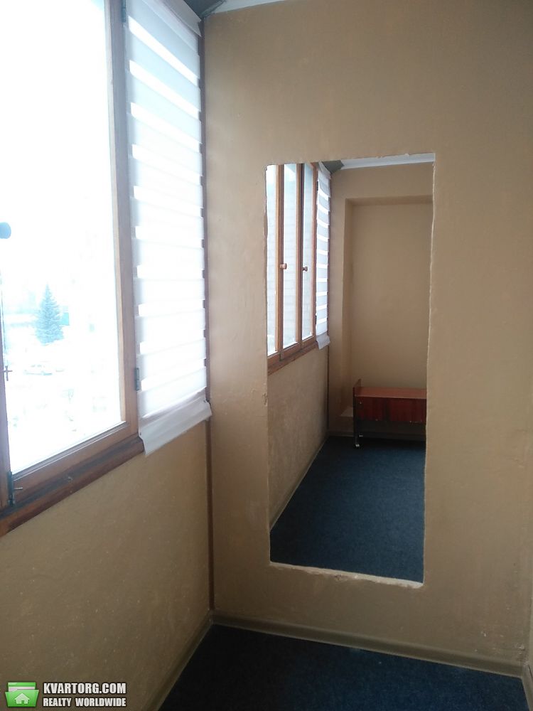 Rent out 1-room apartment. Вишневое, Машиностроителей — photo 8