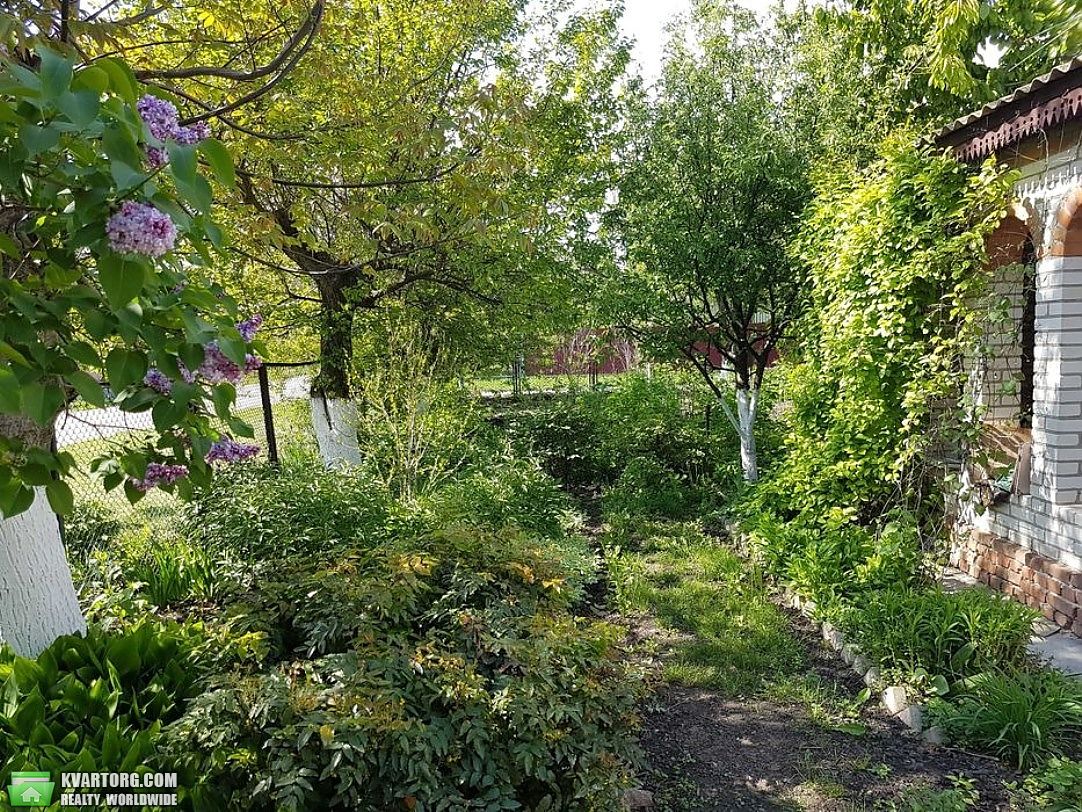 Sell house. Киевская обл., Гребені — photo 2