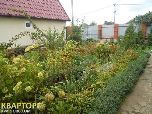 Rent out house. Киевская обл., Ленина — photo 4