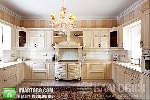 Rent out house. Киевская обл., новые безрадичи — photo 10