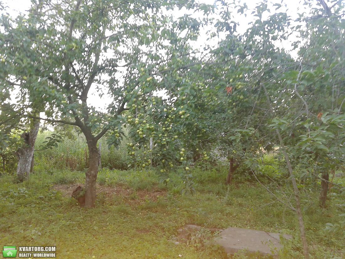 Sell house. Киевская обл., Убариська — photo 3