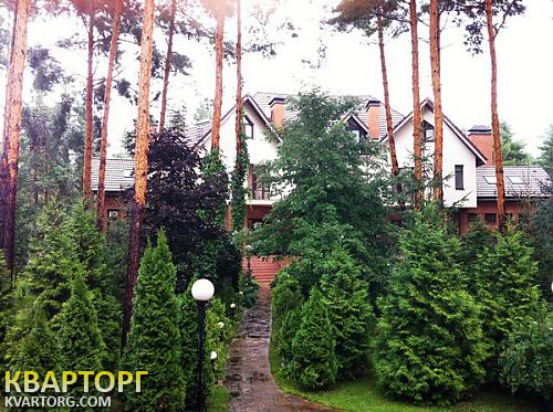 Rent out house. Киевская обл., Козин — photo 10
